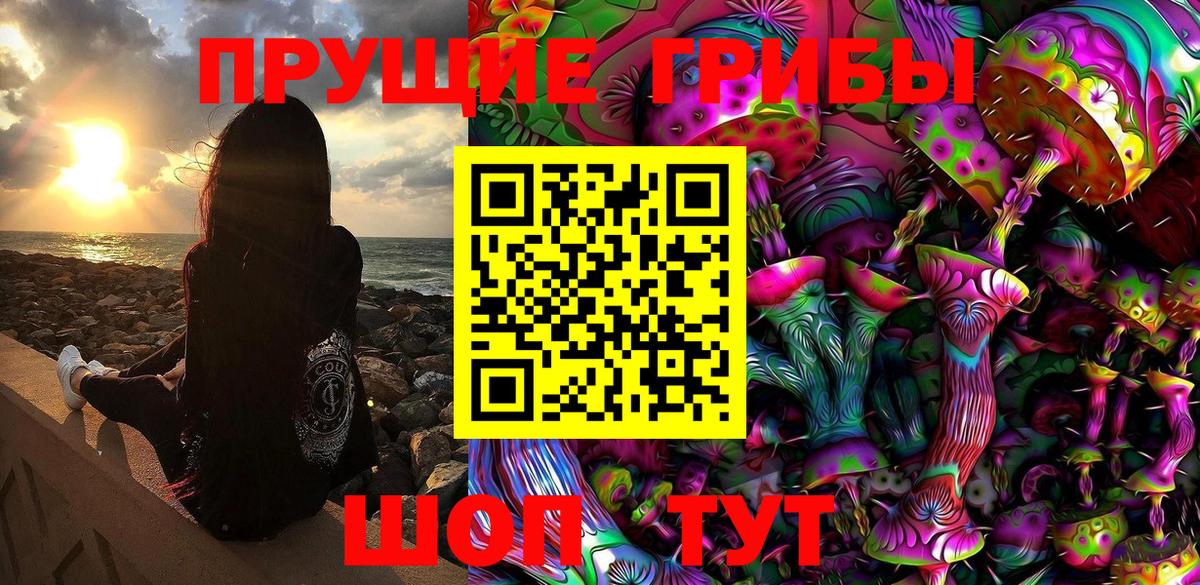 Галлюциногенные грибы GOLDEN TEACHER  купить  цена  Электрогорск  Галлюциногенные грибы ЛСД  Вход с VPN 